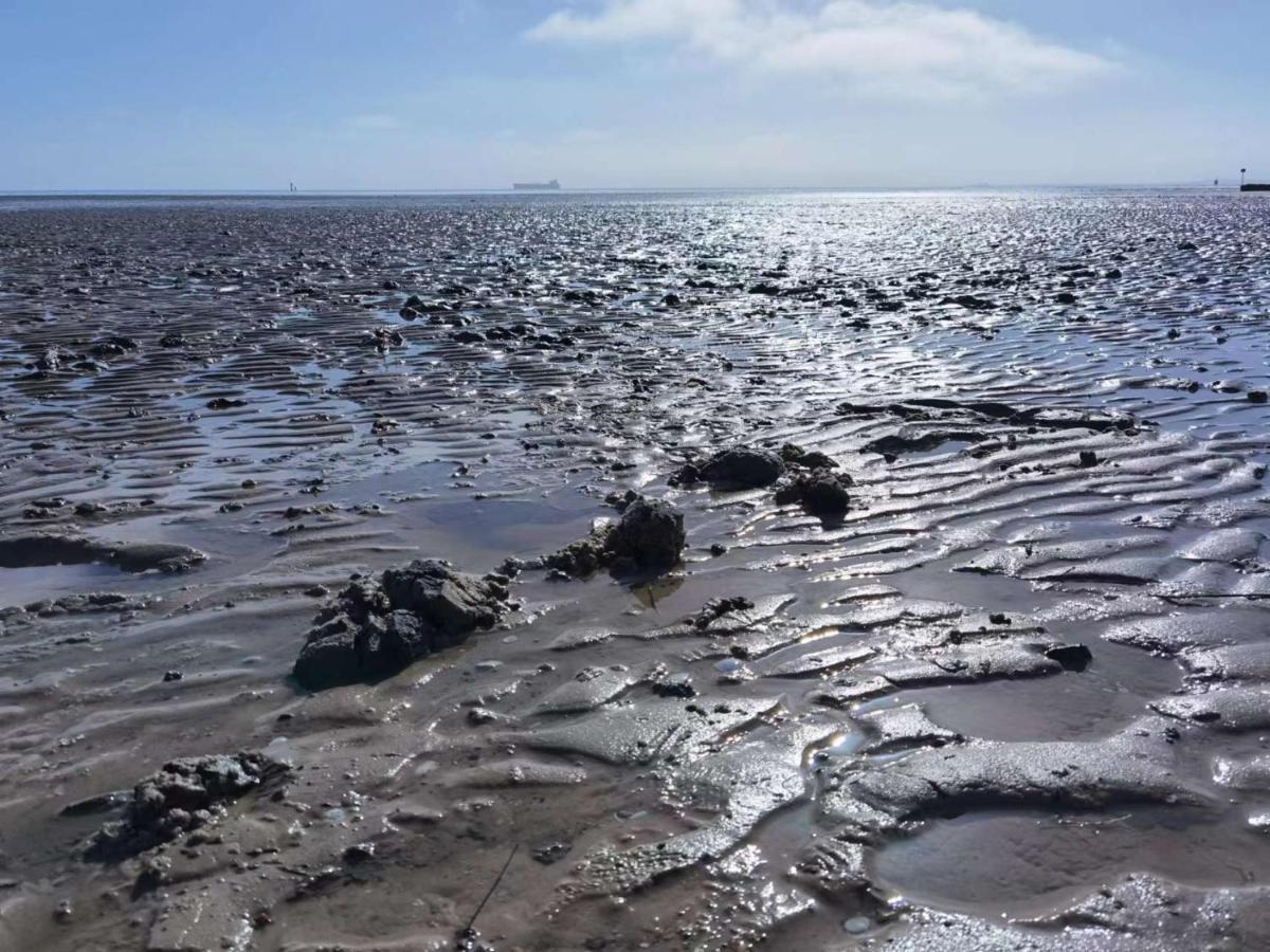 Schaake Schillig-Strandnahe Wohlfuehloase Mit Modernem Flair Und Kostenlosem Parken ภายนอก รูปภาพ